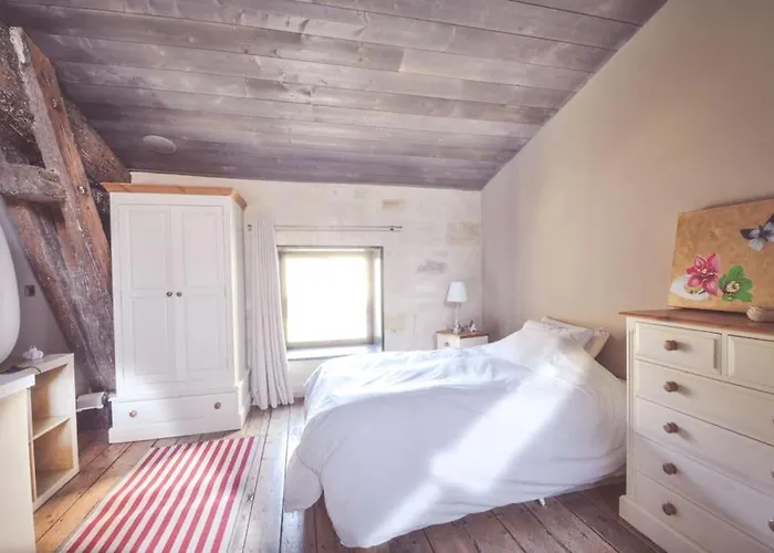 Villa Splendide Chai 700 M2 Burdeos