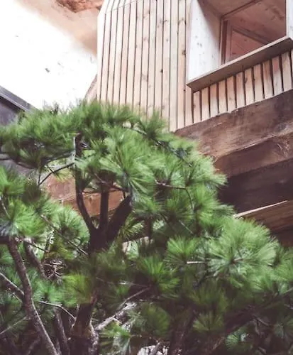 Villa Splendide Chai 700 M2 *